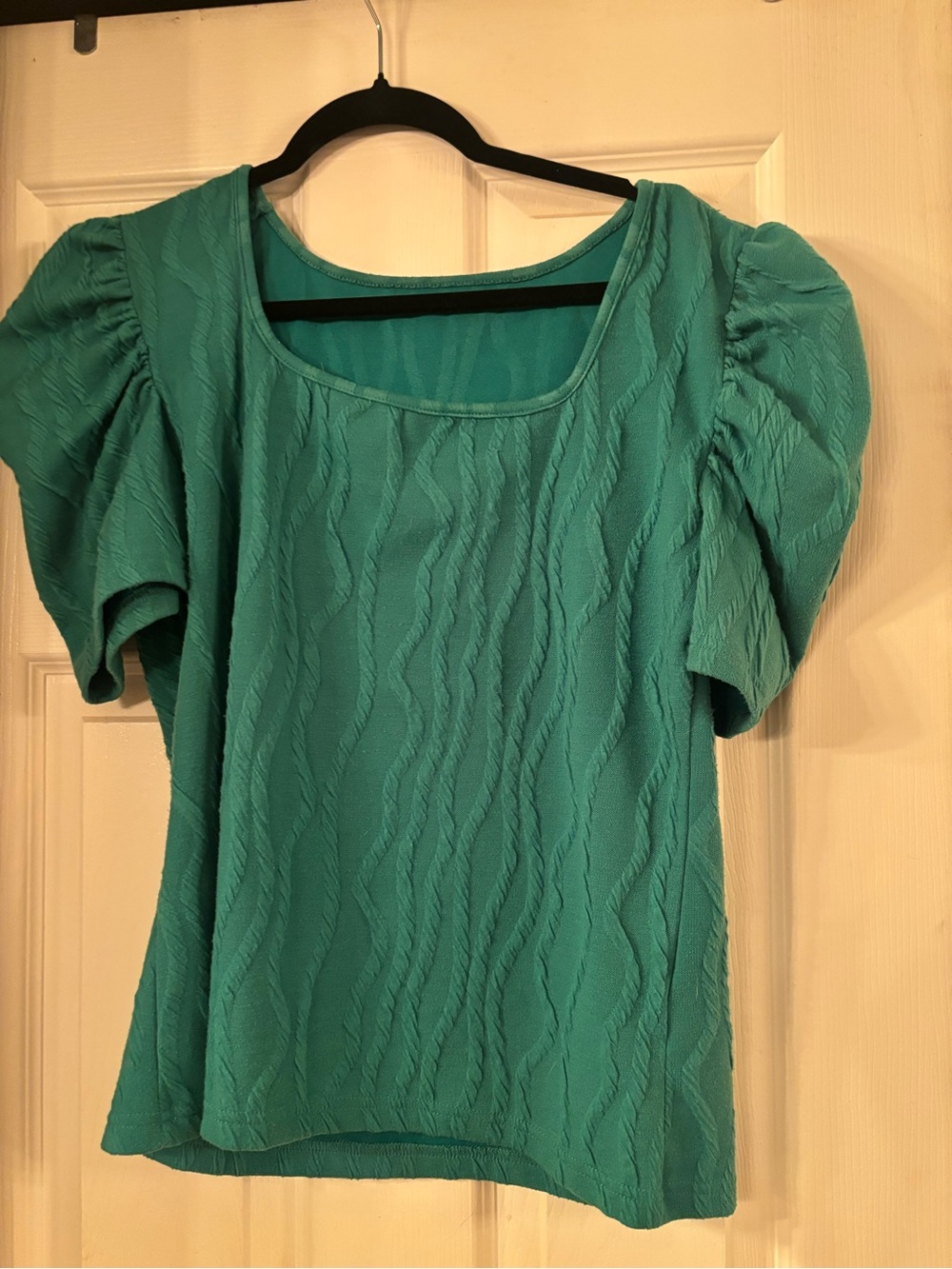 Source Unknown Teal Puff Sleeve Textured Scoop Neck Top